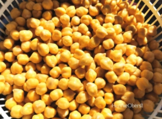 Review Makanan Falafel Bola Kacang Arab Renyah dan Gurih